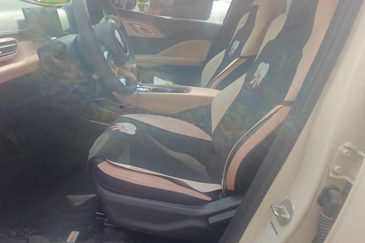 Used BYD Seagull 2024 Honor Edition 305km Dynamic Version Left Front Seat