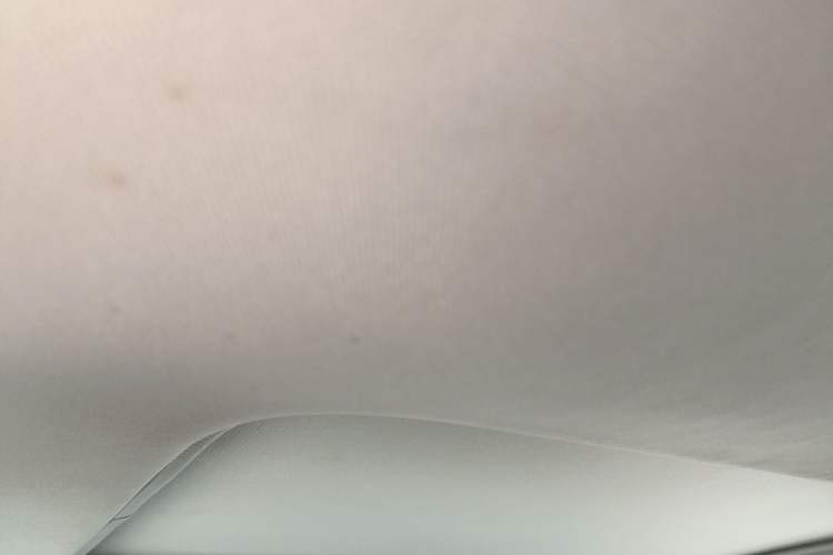 Used Toyota Wildlander 2020 2.0L CVT Two-Wheel Drive Luxury Edition Headliner