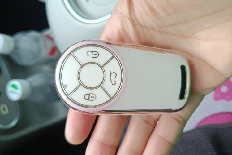 Used ORA Good Cat 2023 401 km Standard Range Luxury Version Lithium Iron Phosphate
