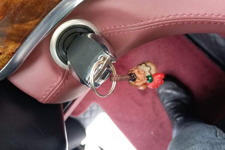 Used Mercedes-Benz Vito 2021 2.0T Business Version 7 Seats
