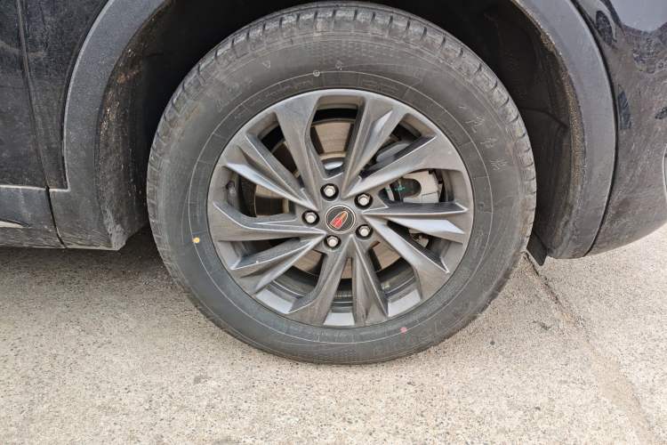 Used Hongqi HS5 2025 2.0T Two-Wheel Drive 600 000-Vehicle Commemorative Edition