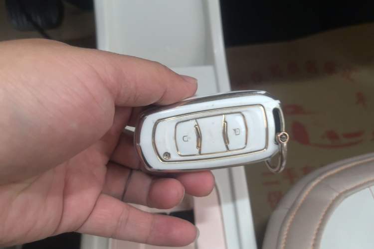 Used Geely Galaxy Panda 2023 Panda Mini 200km Endurance Bear Vehicle Key