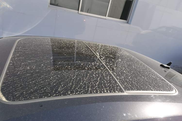 Used Volkswagen Magotan 2020 330TSI DSG Luxury Edition