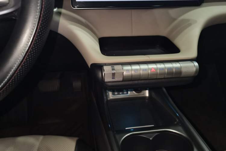 Used BYD Dolphin 2023 420 km Free Version Gear Lever