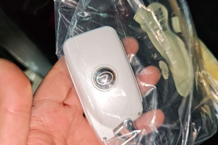 Used Lexus RX 2020 Revised Version 300 Two-Wheel Drive Elite Edition