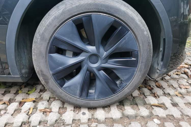 Used Tesla Model Y 2024 Rear-Wheel-Drive Version Exterior 4