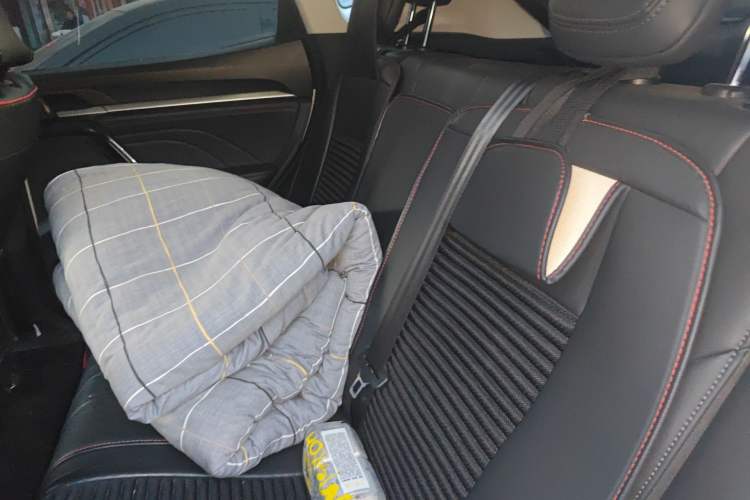 Used Haval F5 2020 1.5T DCT Type I Left Rear Seat