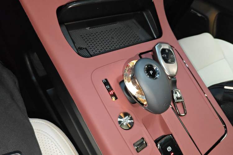 Used GAC Trumpchi E9 2023 E9 MAX
