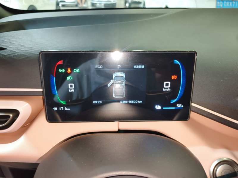 Used BYD Seagull 2025 305 km Free Version — 11