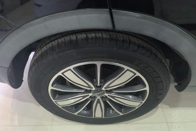Used Haval H6 2021 1.5T Automatic Champion Edition Exterior 5
