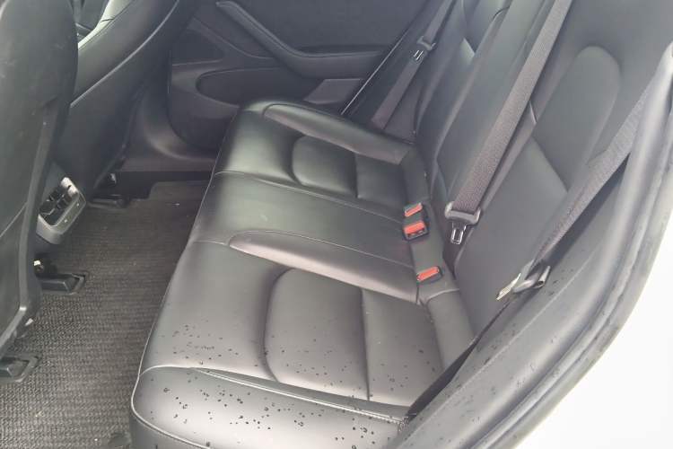 Used Tesla Model 3 2020 Standard Range Rear-Wheel Drive Upgraded Version Left Rear Seat