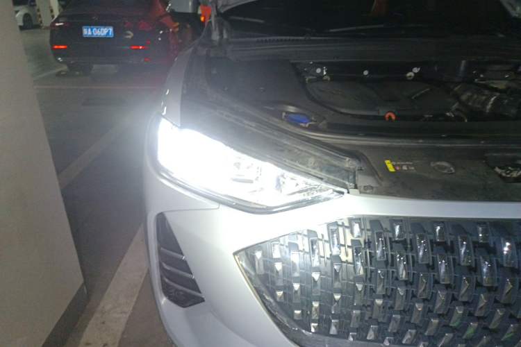 Used Wey Mocha 2021 2.0T Two-Wheel-Drive Premium Edition
