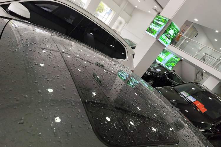 Used CHANGAN Eado 2023 Changan Edition PLUS Blue Whale NE 1.4T GDI DCT Prestige Version
