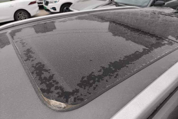 Used Qiyuan Q05 2023 125 Max