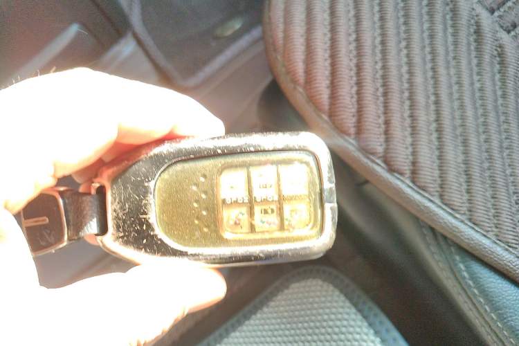 Used Honda Elysion 2022 2.0L eHEV Luxury First Edition