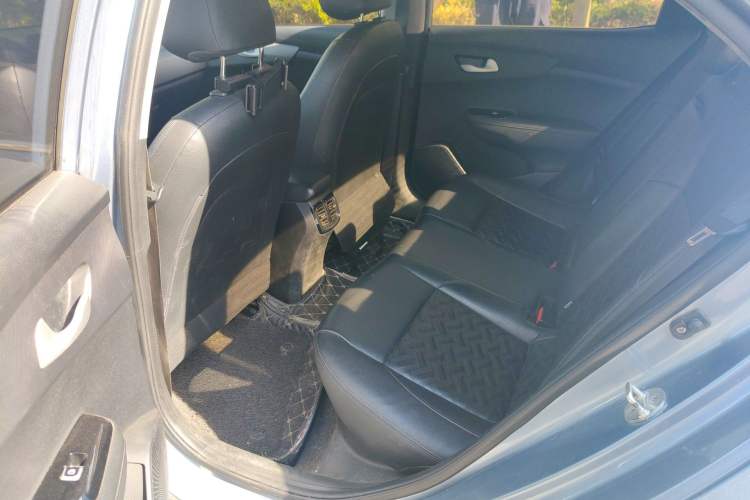 Used Kia Forte 2018 1.6L Automatic Value-Comfort Luxury Edition Left Rear Seat