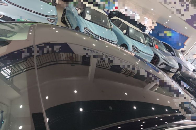 Used VOYAH PASSION 2024 PHEV Four-Wheel Drive Ultra-Long Range Flagship Model Roof