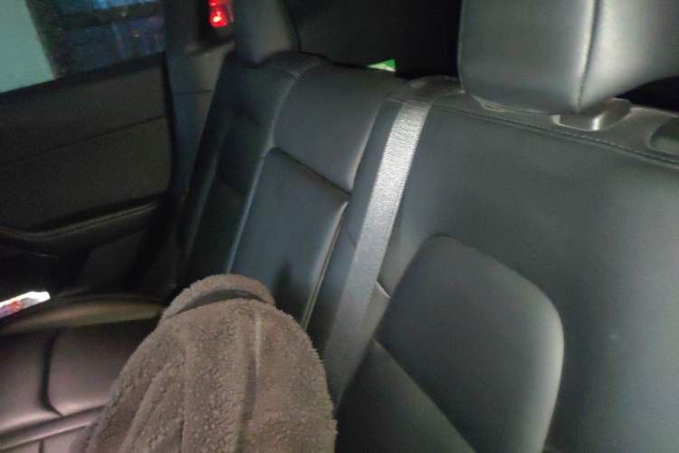 Used Tesla Model Y 2023 Rear-Wheel-Drive Version Left Rear Seat