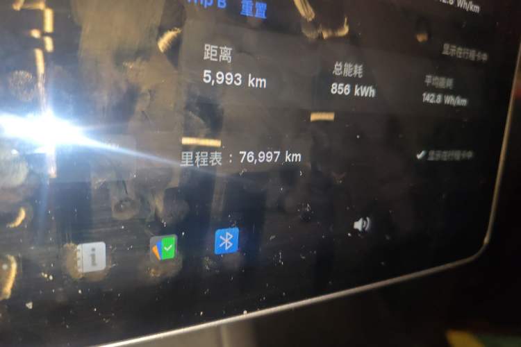 Used Tesla Model Y 2021 Standard Range Rear-Wheel Drive Version
