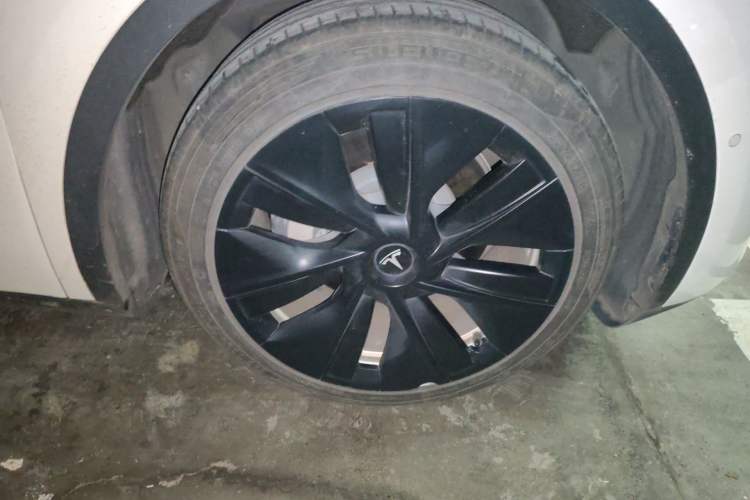 Used Tesla Model Y 2021 Standard Range Rear-Wheel Drive Version