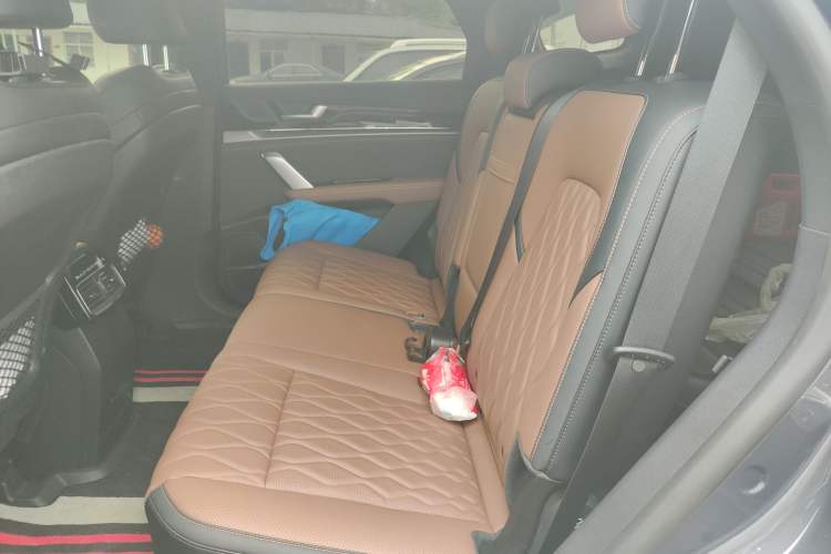 Used BYD Tang New Energy 2023 DM-i Champion Edition 112KM Prestige Model Left Rear Seat