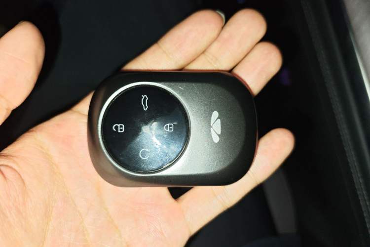 Used Chery Fengyun T10 2024 210 Luxury Edition