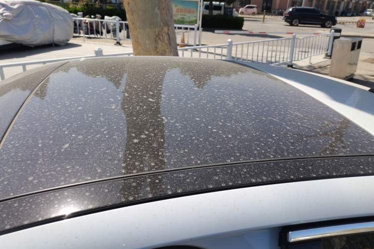 Used Audi A3 2019 Limousine 35 TFSI Fashion Edition China VI Emission Standard Roof