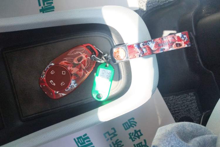 Used Leapmotor T03 2022 YAOJIN Edition