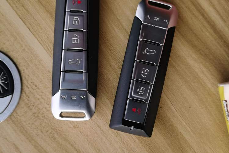 Used Wey VV5 2020 2.0T Two-Wheel Drive Pioneer