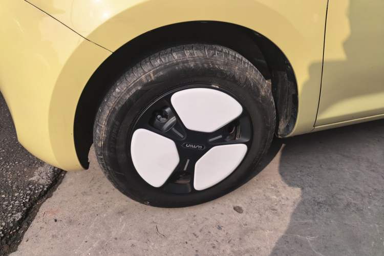 Used Qiyuan Lumin 2023 301km Honey Dew Edition
