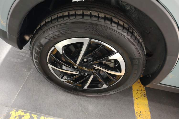 Used NETA V 2021 Long-Range Entertainment Edition Upgrade Model