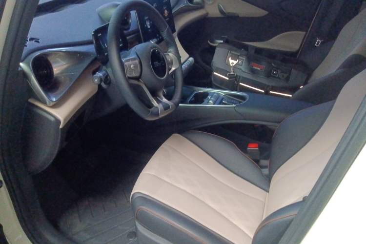 Used BYD Dolphin 2025 420km Free Edition Left Front Seat