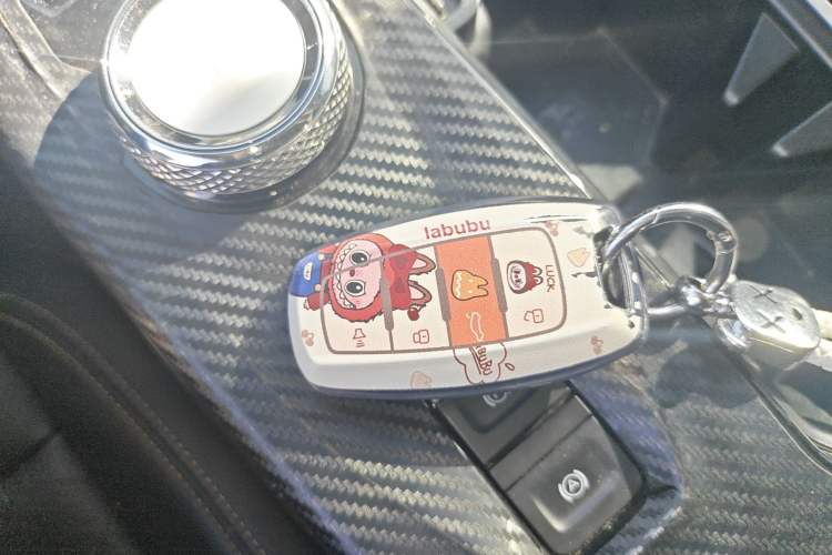 Used Haval DARGO 2021 1.5T DCT Two-Wheel Drive Border Collie - Wangcai Edition
