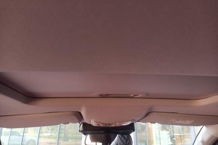 Used Great Wall Poer 2023 2.0T Passenger Version Automatic Gasoline Four-Wheel Drive Comfort Trim – GW4C20B Headliner