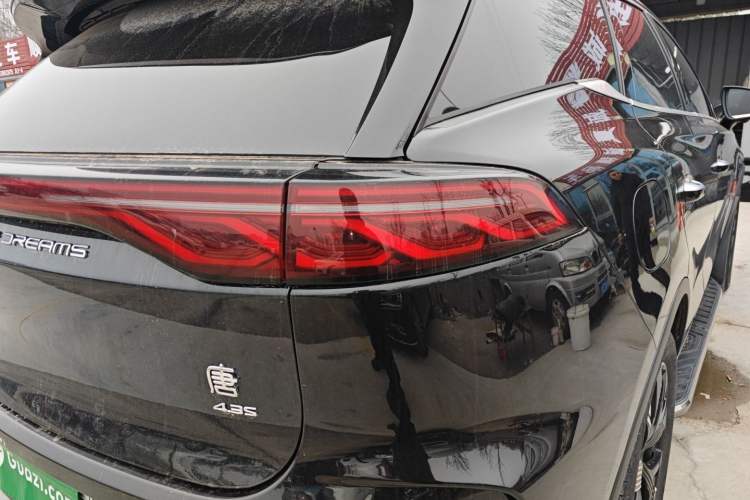 Used BYD Tang New Energy 2024 DM-p Champion Edition 215KM Four-Wheel Drive Deluxe Model
