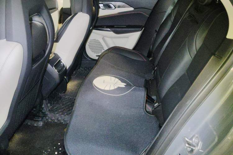 Used Lynk & Co 02 2019 1.5T DCT Two-Wheel Drive Shine Pro Edition China VI Standard Left Rear Seat