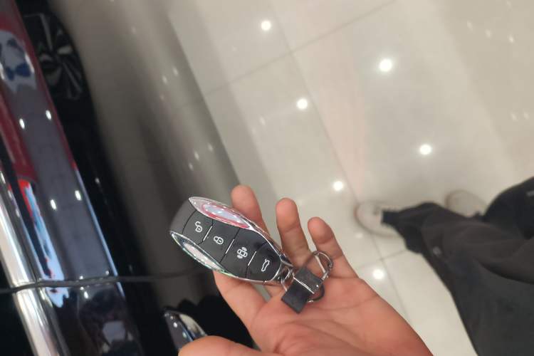 Used Hongqi H5 2024 2.0T Automatic Smart Connect Flagship Edition