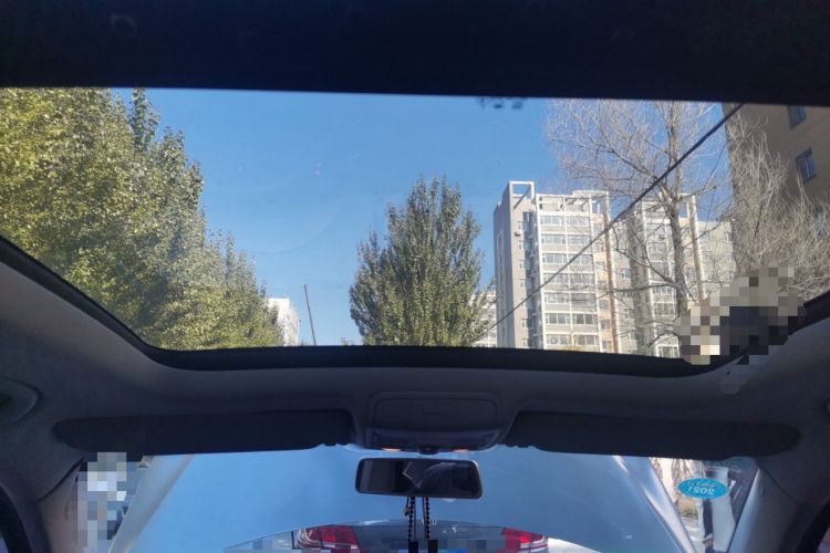 Used Volkswagen Tiguan 2010 2.0 TSI Automatic All-Wheel-Drive Elite Edition Headliner