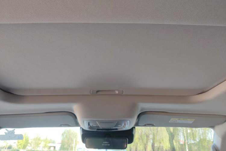 Used Tank 300 2021 City Edition 2.0T—Truly Stylish Headliner