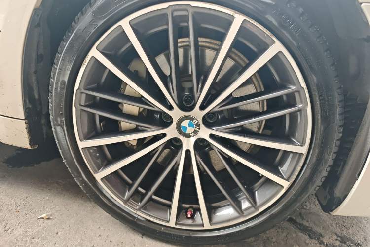 Used BMW 5 Series 2020 530Li Leading Model M Sport Package