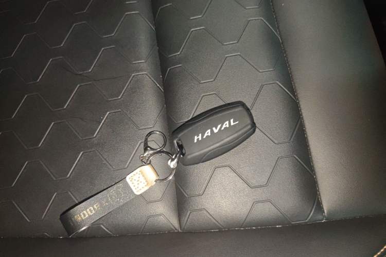 Used Haval DARGO 2021 1.5T DCT Two-Wheel Drive "Wangcai" Edition
