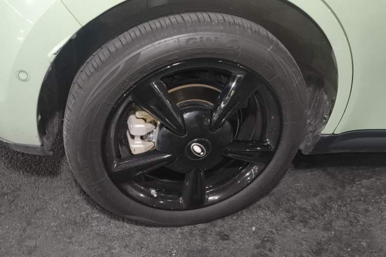 Used ORA Good Cat 2024 501 km Luxury Version Exterior 5