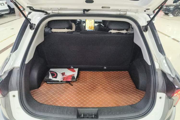 Used NETA V 2021 Long-Range Entertainment Edition Upgrade Model Trunk