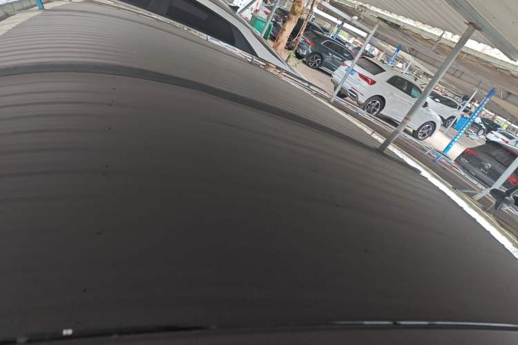 Used ORA Black Cat 2021 301 km Basic Version Roof