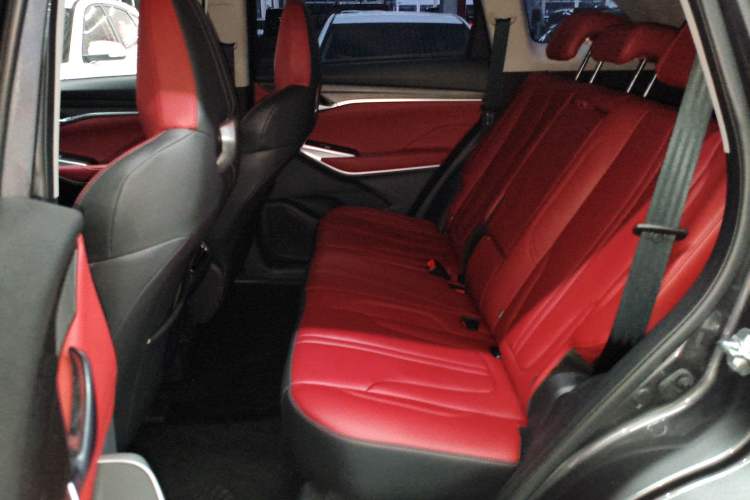 Used CHANGAN CS75 PLUS 2021 2.0T Automatic Pilot Version Left Rear Seat