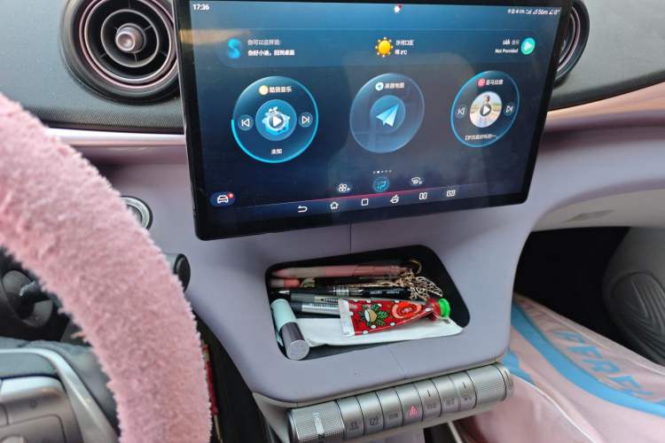 Used BYD Dolphin 2023 420 km Free Version Audio And AC Panel