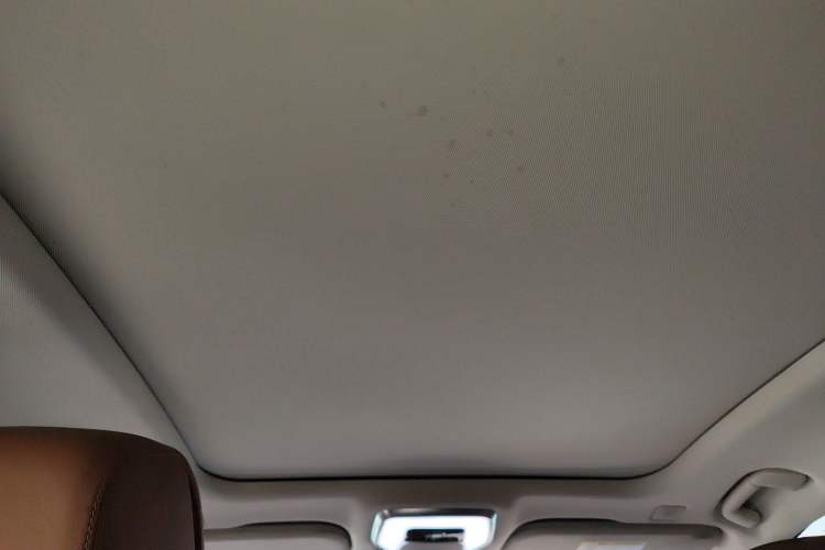 Used Hongqi H9 2020 2.0T Smart Connect Flagship Edition
