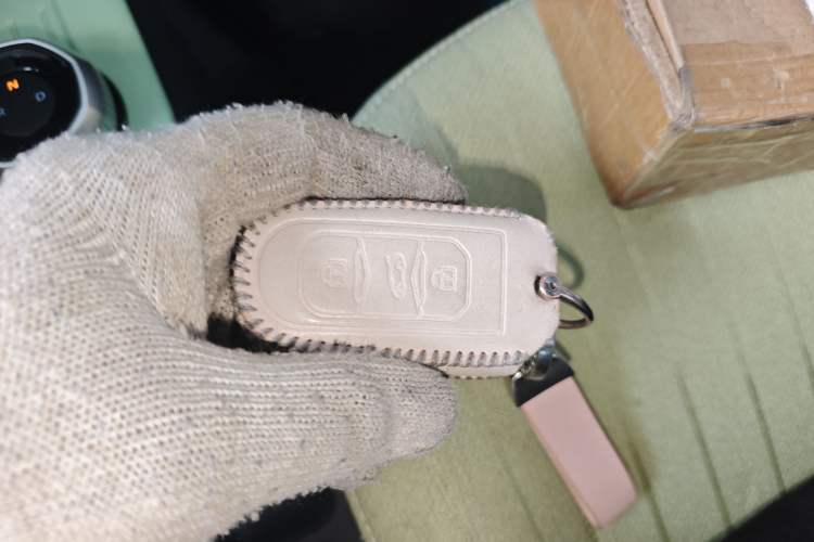 Used Geely Galaxy Panda 2023 Panda Mini 200km Endurance Bear Interior 1