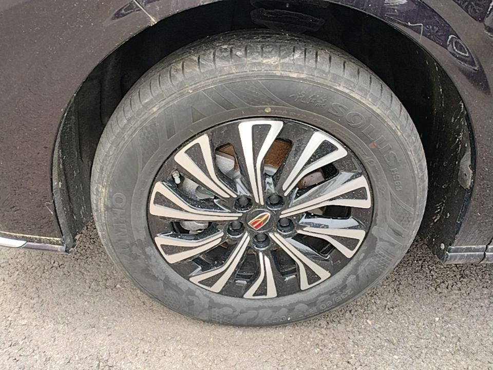 Hongqi HQ9 PHEV 2024 2.0T Four-Wheel Drive Business Edition — снимка 10