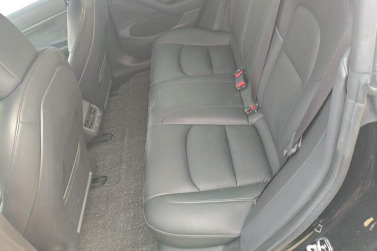Used Tesla Model 3 2020 Revised Version Standard Range Rear-Wheel Drive – Upgraded Edition Left Rear Seat